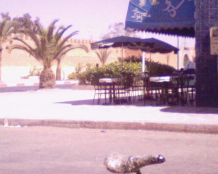 kasm oudade